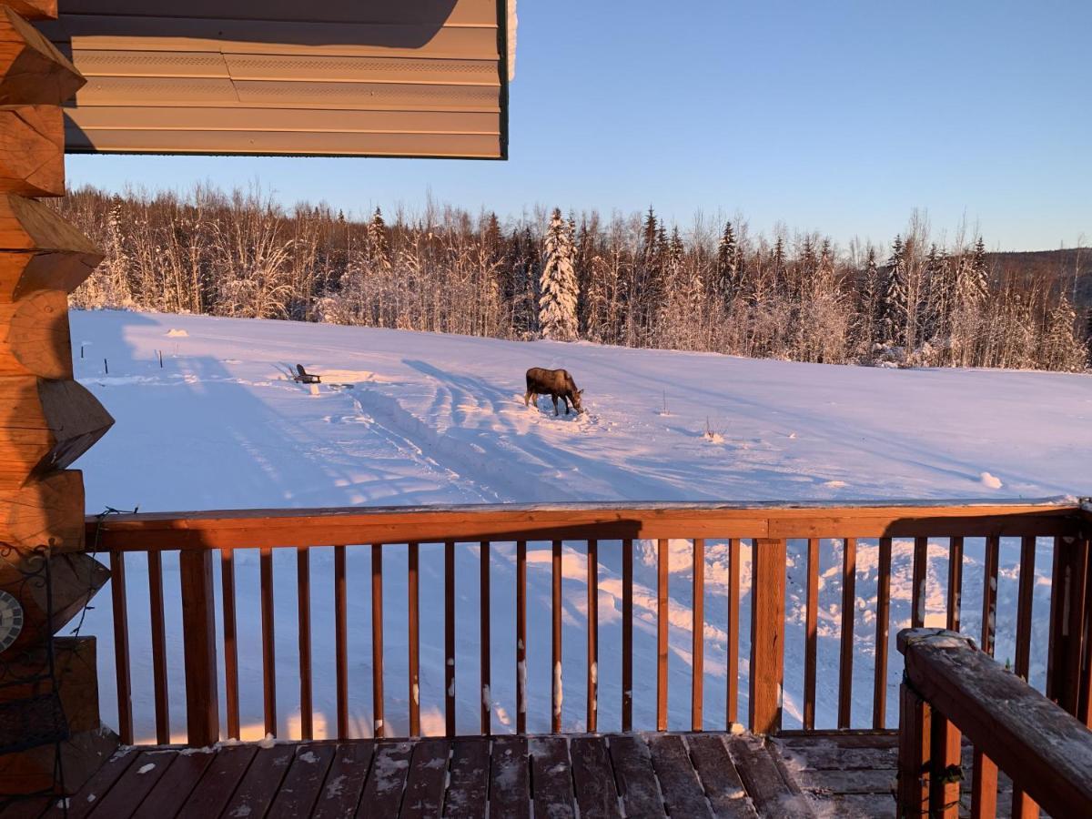 Secluded Log Cabin, 30 Min From Chena Hot Springs Pleasant Valley Exterior foto