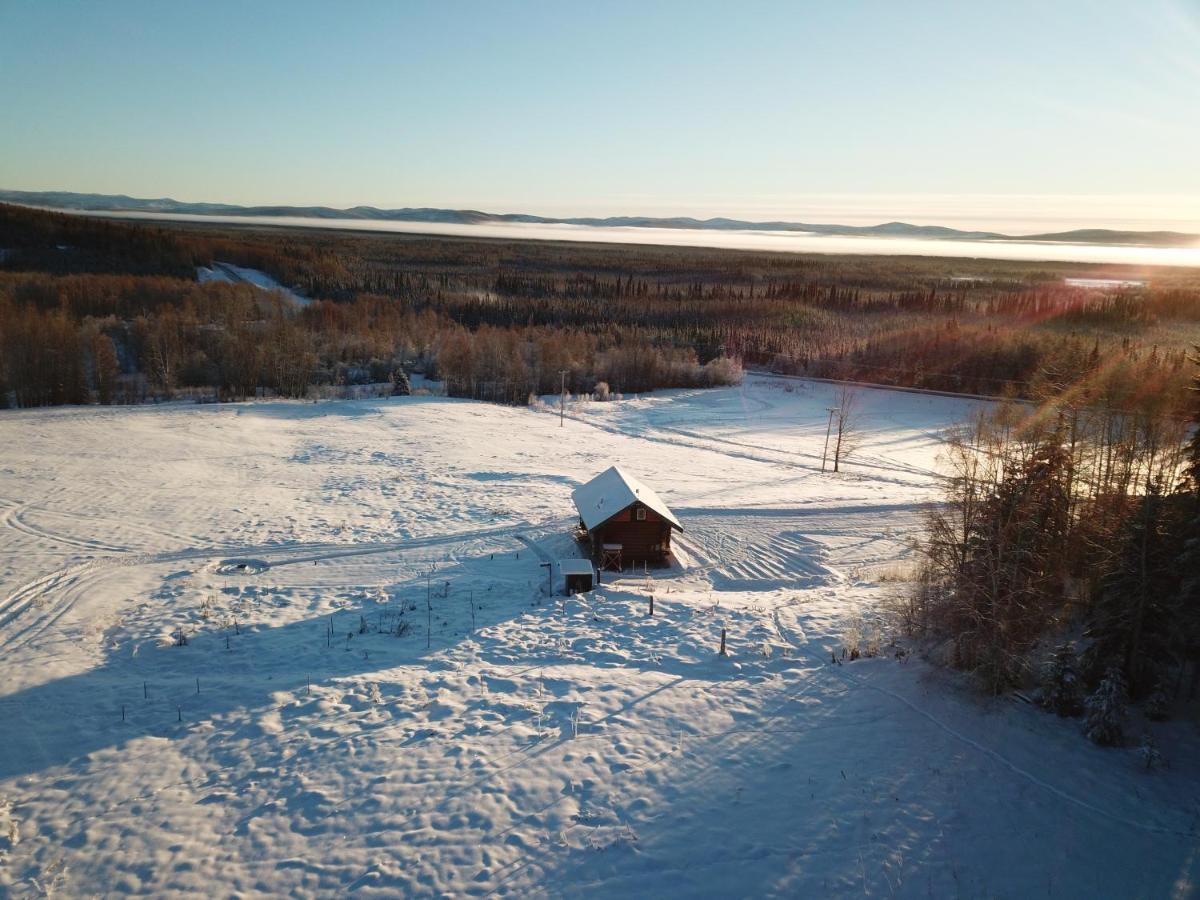 Secluded Log Cabin, 30 Min From Chena Hot Springs Pleasant Valley Exterior foto